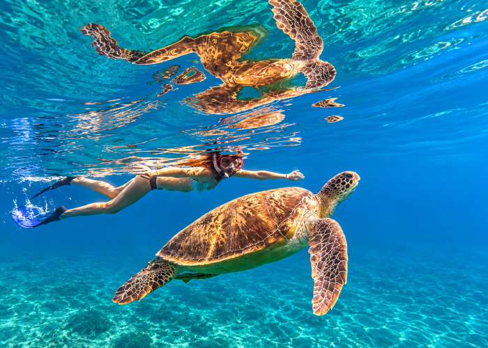 Marsa Mubarak Snorkeling Trip from Marsa Alam – €40 Per Adult