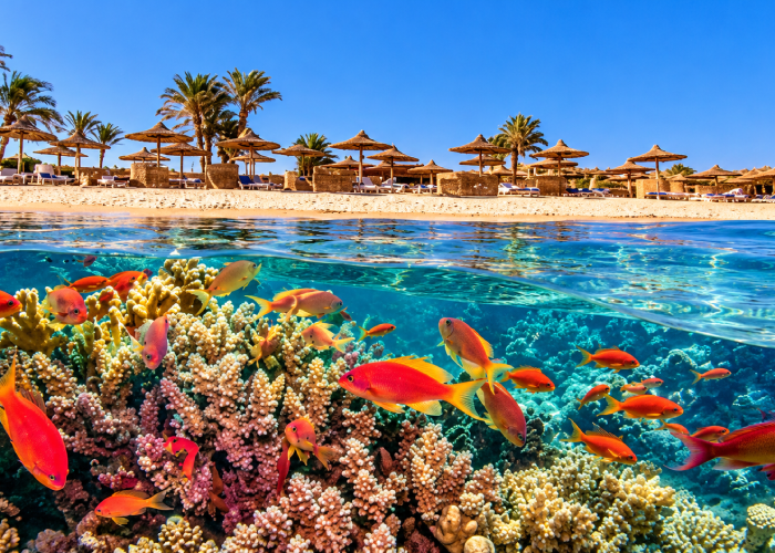 Sharm El Luli Tour from Marsa Alam – 7 Amazing Hours by the Red Sea